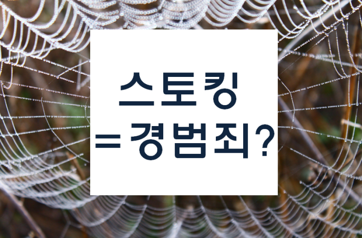  [감시장비] 스토킹 범죄의 심각성과 그 대책