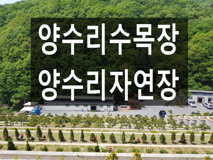  양수리수목장 가격과 환경을 안내 드립니다.