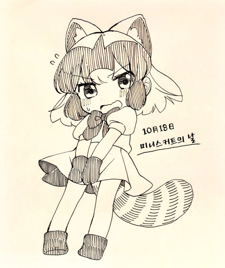  수영복 라쿤