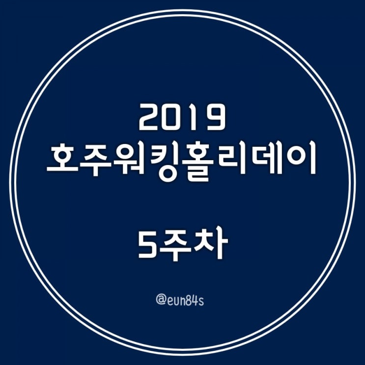  [퍼스워홀D+31]하오쓰촨, 머스탱, 커넥션