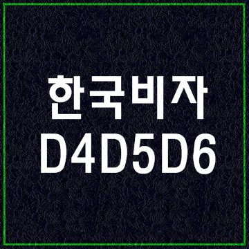 한국비자종류5 (D4 D5 D6비자)