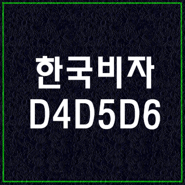  한국비자종류5 (D4 D5 D6비자)