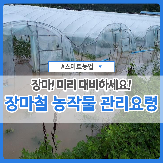  장마! 미리 대비하세요!① :: 장마철 농작물 관리 요령