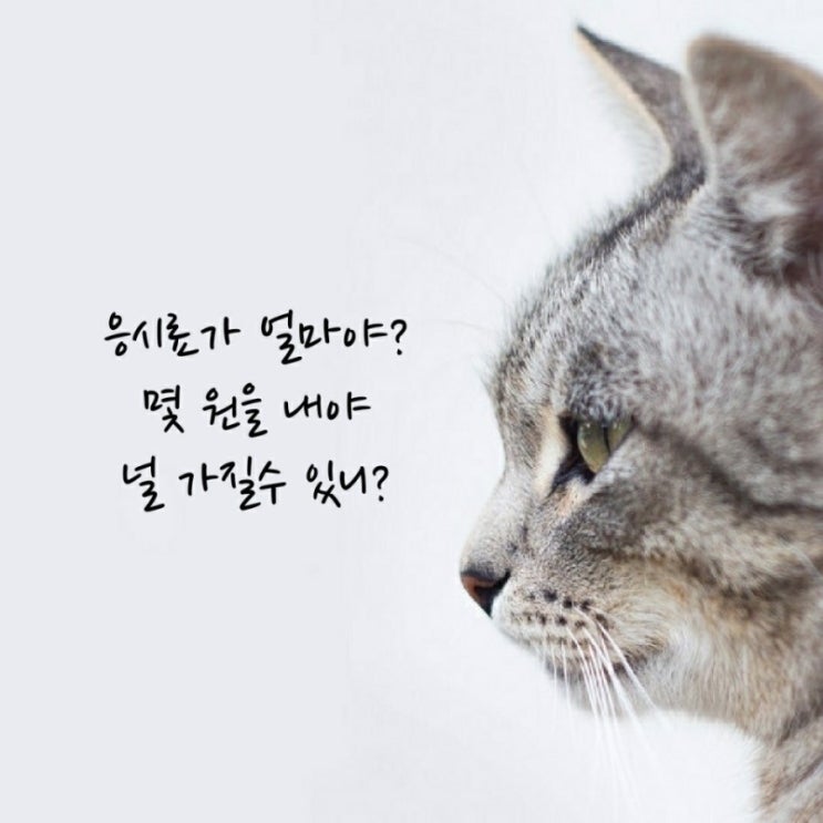  엑셀시험 한번에 합격해야죠 