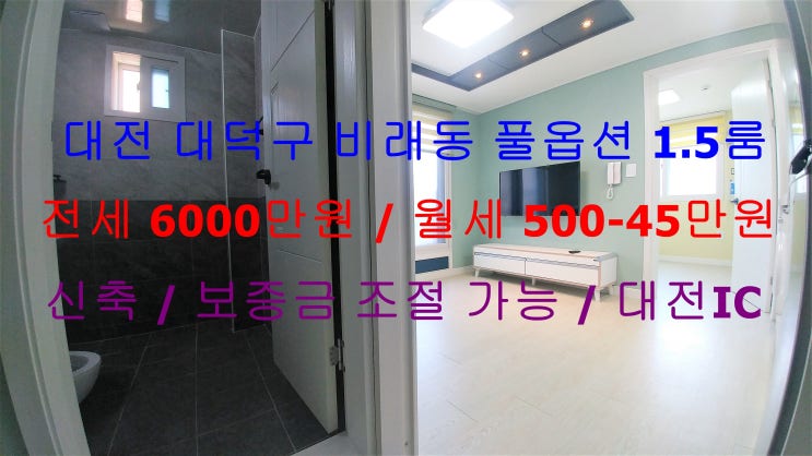  (대전 대덕구 비래동) 대전IC가까운 신축 풀옵션 1.5룸입니다 ^^