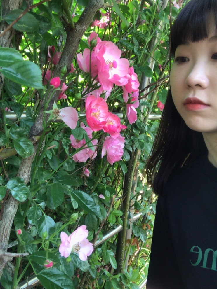  [19년 6월] 2번째