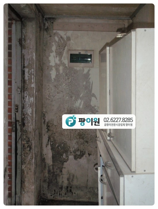  현관 곰팡이제거 끝장내자!