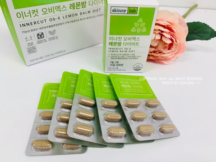 레몬밤분말, 본격적인 여름 준비! 레몬밤분말, 본격적인 여름 준비!