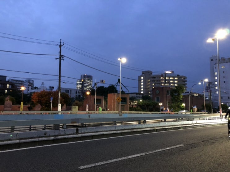  일상: 도쿄직장인일상: 출퇴근 무한반복+번개+외근
