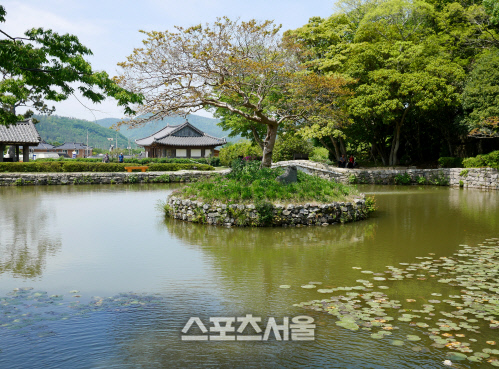  "아듀" 올 봄과의 이별을 기억하다, 곡성 진도 남도 막걸리 여행