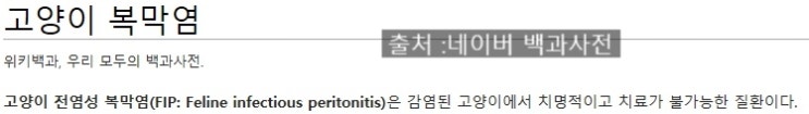  천안 불당동물병원이 알려주는 고양이 전염성 복막염 /FIP/복막염/코로나바이러스/고양이면역질환/고양이면역/고양이구토/고양이감기/고양이설사/고양이호흡곤란/고양이포도막염/불당동동물병원