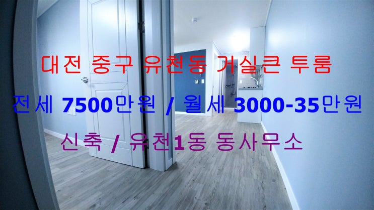 (대전 중구 유천동) 유천1동 동사무소 인근에 있는 신축 거실큰 투룸이에요  ~ ^^