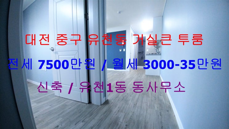  (대전 중구 유천동) 유천1동 동사무소 인근에 있는 신축 거실큰 투룸이에요  ~ ^^