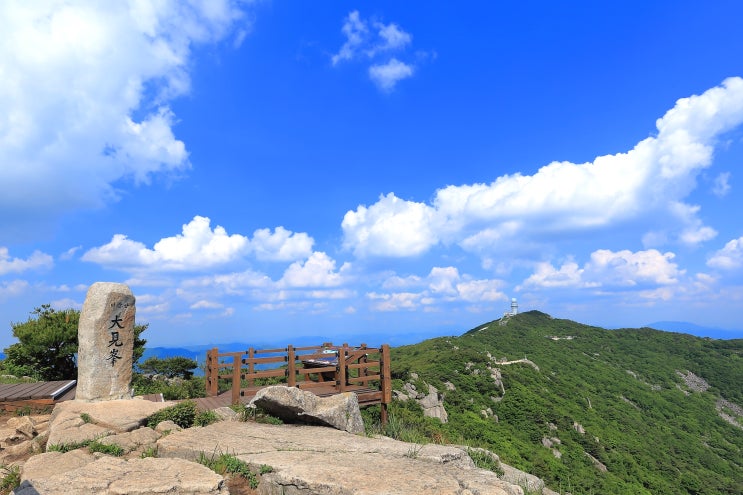 대구 비슬산 대견봉 산행
