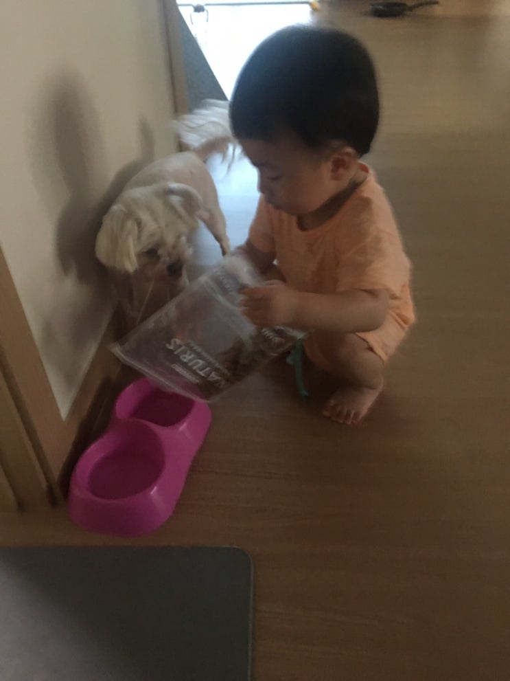  나무아빠의 육아일기(48)