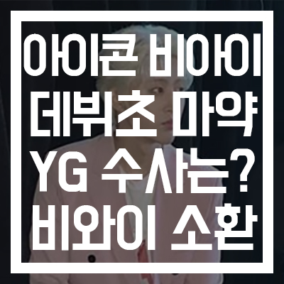  [아이콘 비아이 탈퇴] 데뷔초에 마약 거래? YG 양현석 수사 관여? 비와이 이하이 불똥! #비아이 카톡 #LSD #YG엔터테인먼트 #경찰 마약 의혹 비아이 재수사 검