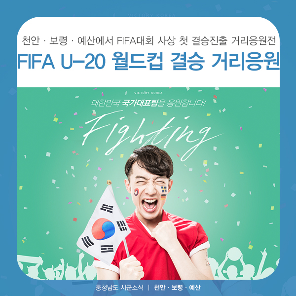  천안·보령·예산, FIFA U-20 월드컵 결승진출 거리응원전 (대한민국vs우크라이나)