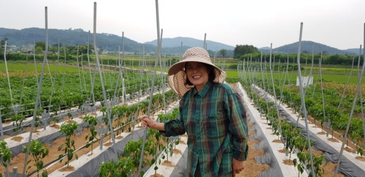  최은주 대표님의 태안육쪽마늘 사랑