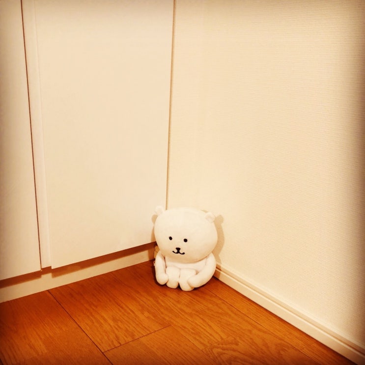  목격자