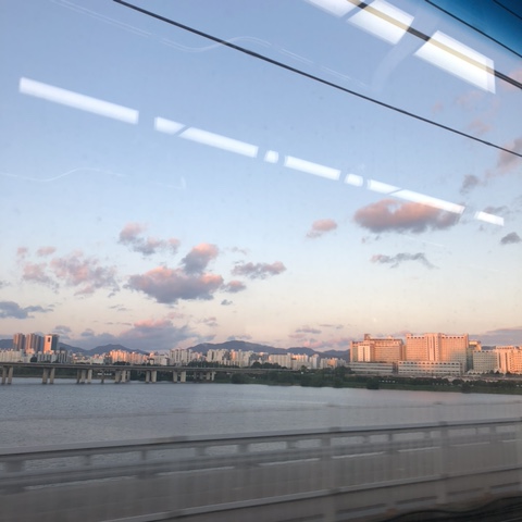  6월 첫째주 in 대구