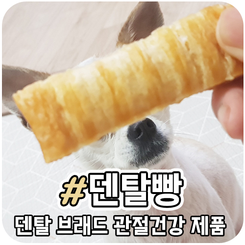  피피픽 덴탈빵 맛있어 또 줘