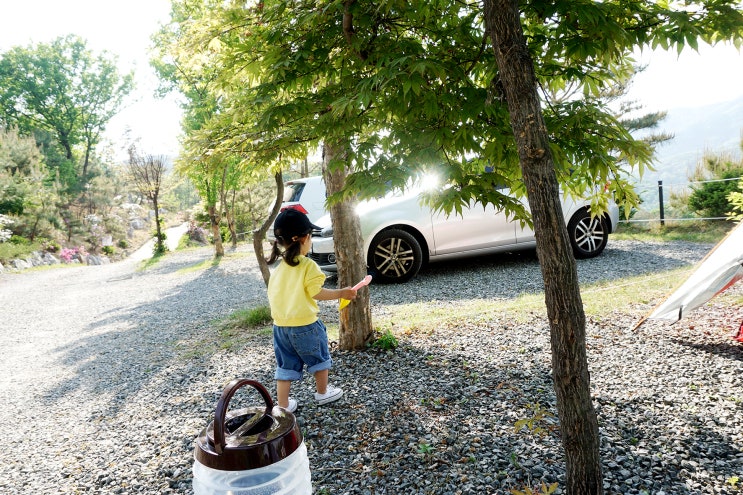  동두천 캠핑장 뷰가 최고! 시설 좋은 캠핑장