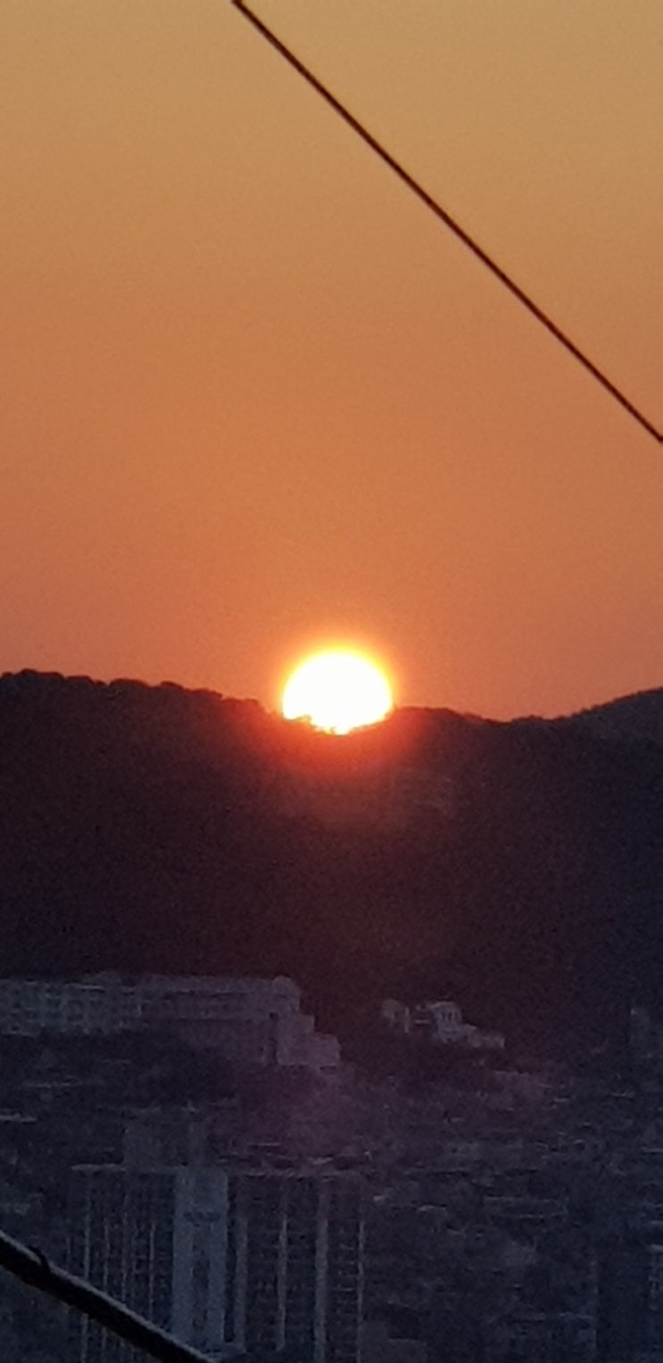  미친 사람