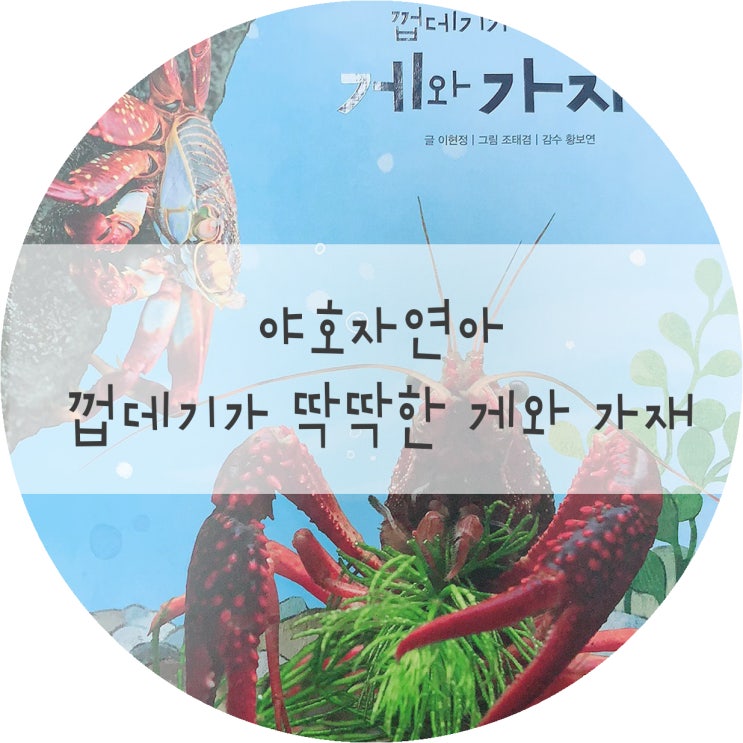  [그물독서] #9 키즈스콜레.야호자연아/껍데기가 딱딱한 게와 가재 : 게 흉내내기.