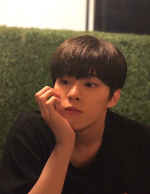  프듀