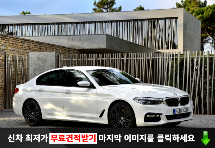  bmw 530d 프로모션 꽤 아름다운 녀석