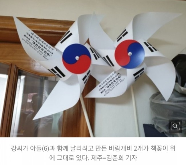 고유정에게 죽임을 당한 박사과정 강 씨는 태극기세력인가요? 아이에게 줄 태극기 바람개비가 가슴아프게 합니다/최석태/ 고유정에게 죽임을 당한 박사과정 강 씨는 태극기세력인가요? 아이에게 줄 태극기 바람개비가 가슴아프게 합니다/최석태/