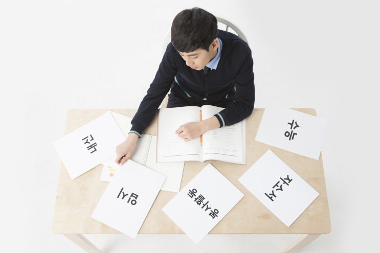  어이 거기 지나가는 학생, 고 3인가? 대입 설명회 한 번 듣고 가지?