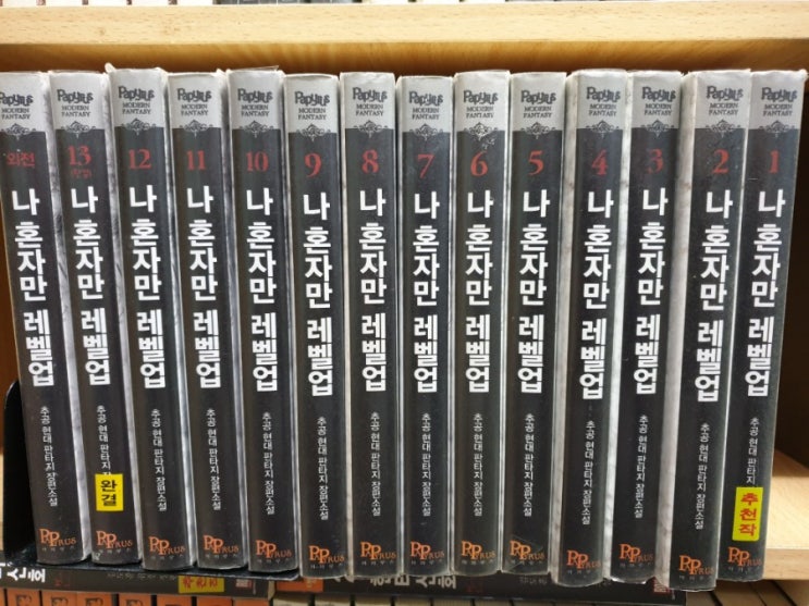  나혼자만 레벨업1~13(완)외전