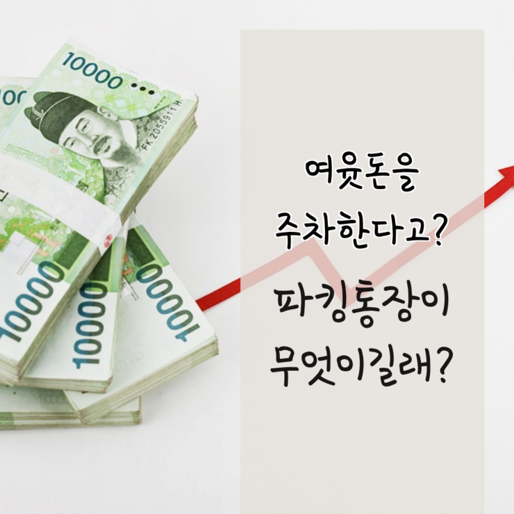  여윳돈을 주차한다고? 파킹통장이 무엇이길래?