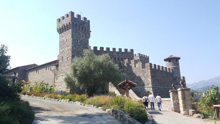  미국 와인 여행 (나파밸리) #24.5 Castello di Amorosa in Napa valley (카스텔로 디 아마로사)