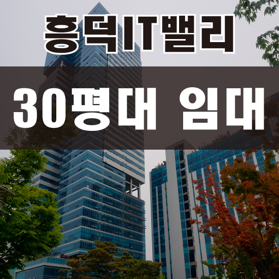  흥덕it밸리 임대 추천 / 전용 30평대