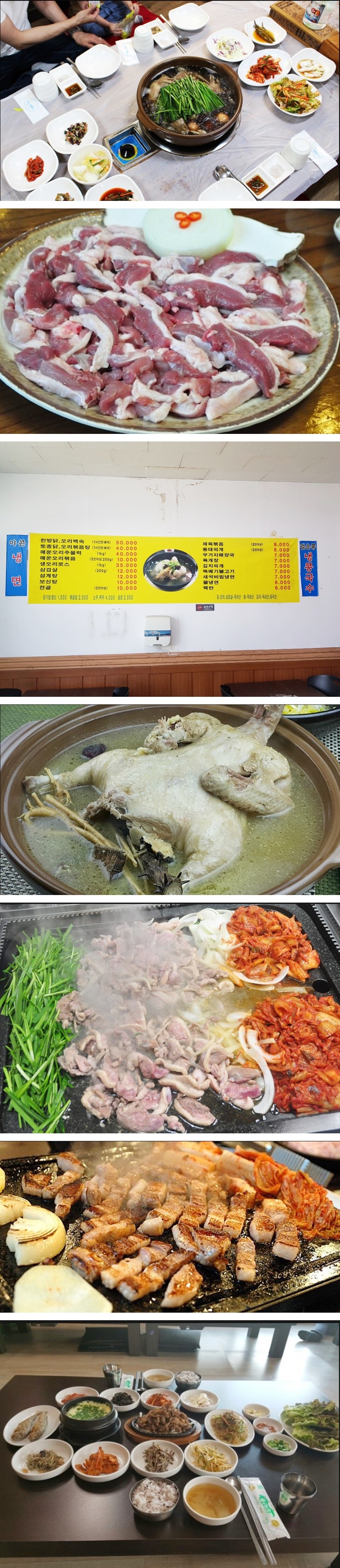 채우미 사진 2