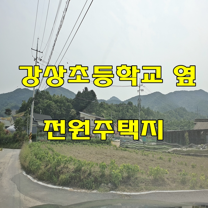 양평땅 - 강상초등학교 500미터 옆 양평 강상면 토지 매매