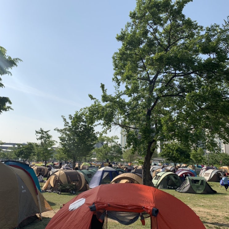  일상 뚝섬한강공원 나들이