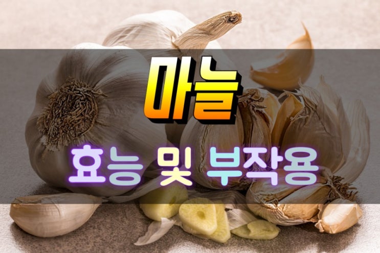  강력한 항암효과를 가진 마늘 효능 부작용 살펴보기