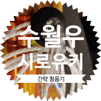  수월우 오픈형 이어폰 시로유키 첫인상
