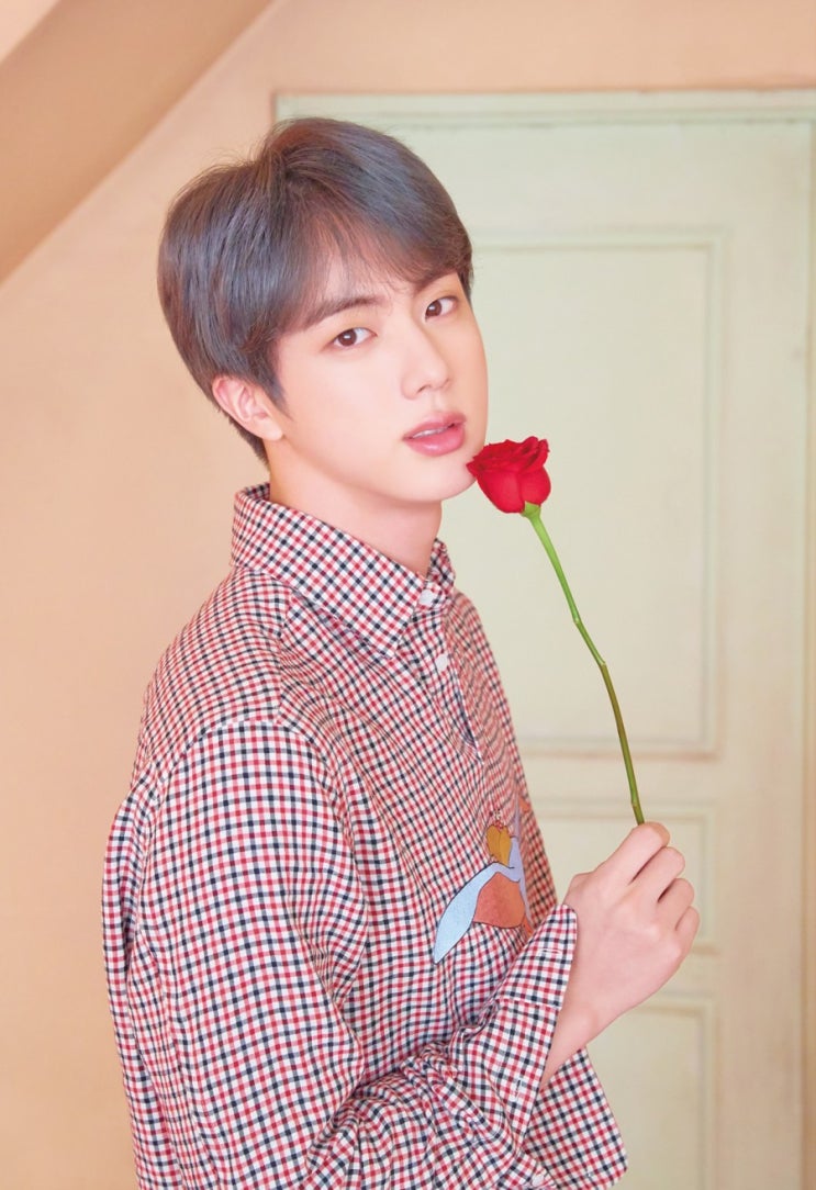  방탄소년단 진 프로필