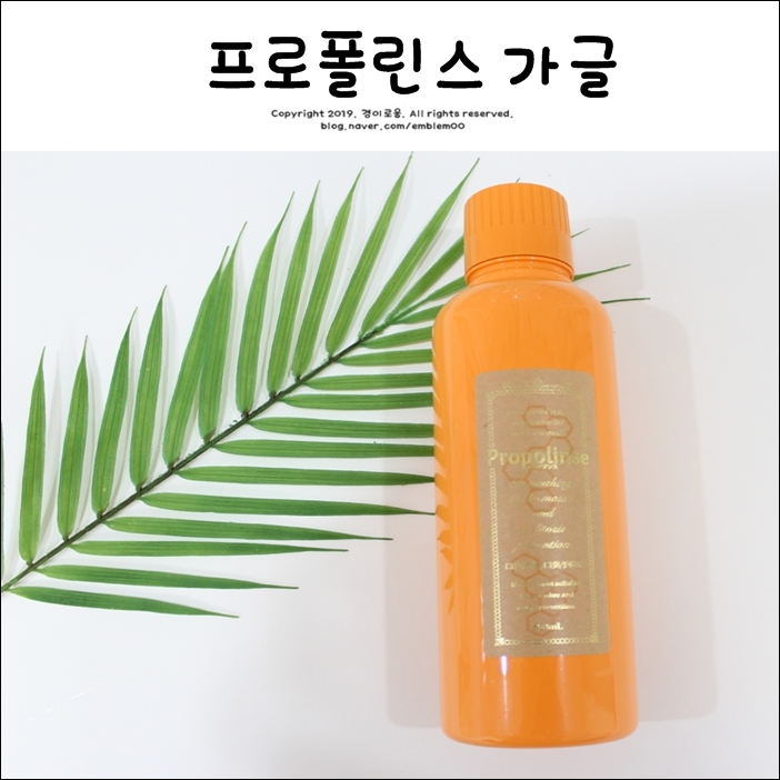 프로폴린스가글 노폐물 확인되는 찌꺼기가글 프로폴린스가글 노폐물 확인되는 찌꺼기가글