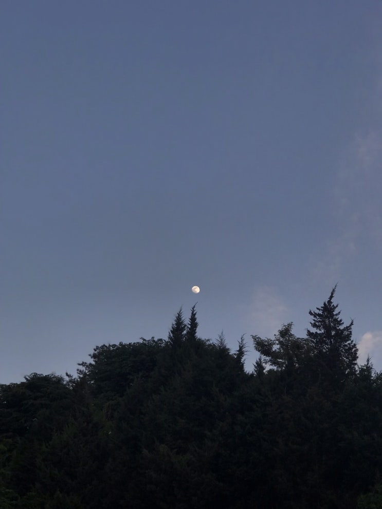  일상 11