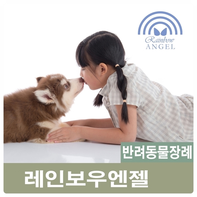  반려동물장례식장 애견장례식장은 가장 신뢰할 만한 레인보우엔젤에서 진행하세요.