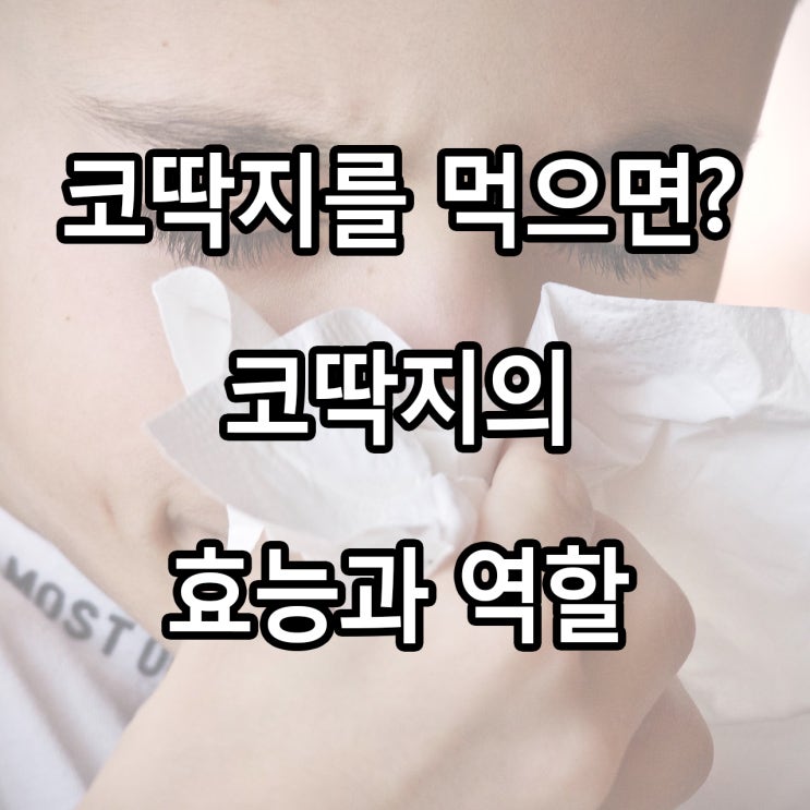  코딱지를 먹으면? 코딱지의 효능과 역할