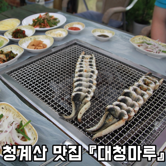  청계산 장어 맛집-경치 좋고 맛좋고, 친절한 맛집. 청계 대청마루.