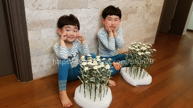  조화공예ㆍ에델바이스ㆍ꽃만드는고슴도치ㆍ핸드메이드꽃
