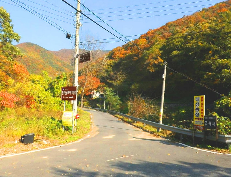 금곡사/경북 칠곡군 가산면 : 네이버 블로그