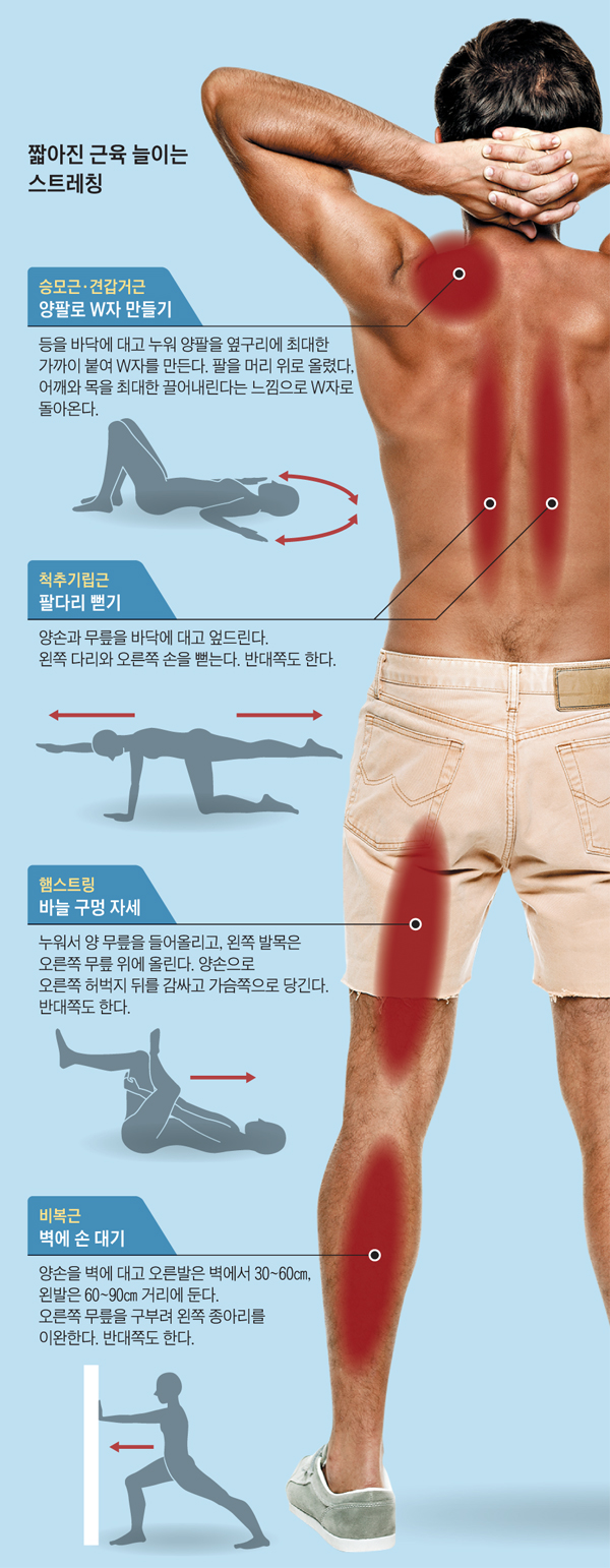  [진주pt, 평거동 pt, 진주pt샵, 평거동 퍼스널 트레이닝, 진주 퍼스널 트레이닝]-짧아진 근육을 늘여라, 통증이 사라진다